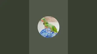 rumu kumari is live!