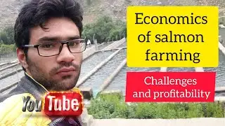 Coldwater Trout Farming Economics: Complete Guide to Costs, Challenges & Profit