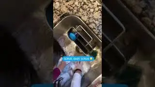 Cooking with kids is nearly impossible
