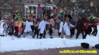 У Harlem Shake - Best Of Компиляция Часть 2