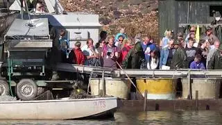 Carp fishing in Czech Republic
