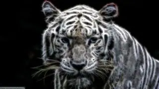 Photoshop Effect & how to install (Tutorial) : Glowing tiger / Fractalius Filter | Photoshop cc 2014