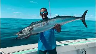 High-Speed Fishing Adventure in the Maldives | Video Ad for : Leo Wahoo