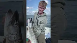 Northern pikes in the Netherlands are FEEDING! #fishing