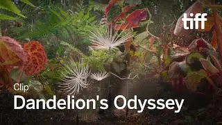 DANDELION'S ODYSSEY Clip | TIFF 2025
