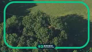 BREAKING: Banner plane crash in Monroe Township, Gloucester County