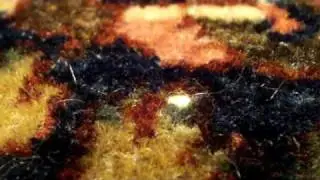 Cotton Knot in Wool Pile Rug
