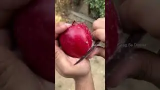 Always check your Apple before eating 🍎🤔 #shorts #viral #swagsedoctor