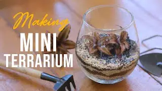 MAKING MINI TERRARIUM EASY IN UNDER 10 MINUTES