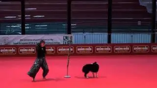 OEC 2014 - HTM Anja Christiansen + Queeny
