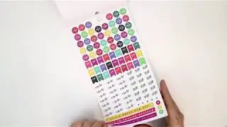 Mini Happy Planner Sticker Book Flip Through: Planning Basics