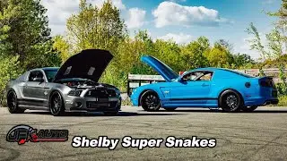 Shelby Super Snake Widebody x 2 - JFK Auto