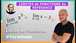 LIMITES de FONCTIONS de RÉFÉRENCE - Exercice Corrigé - Terminale