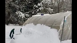 Best Method For Removing Snow From A Hoophouse