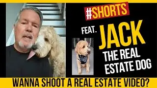 Jack the Real Estate Dog - Planning Our Day #shorts