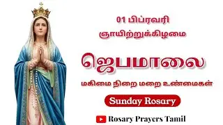 February 1: Sunday Rosary (Glorious Mysteries) | ஞாயிற்றுக்கிழமை - மகிமை நிறை மறை உண்மைகள்