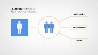 Types of Business Entities