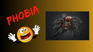 What is arithmophobia?