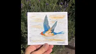 How To Draw A Barn Swallow
