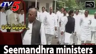 Seemandhra Congress MPs Opinions On State divided  - TV5