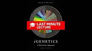 Генетический анализ развития | Глава 19 &ndash; iGenetics: Молекулярный подход (3-е издание)