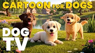 Dog TV Cartoons 🐶 Anti-Boredom Videos for Dogs | Relaxing Music for Dogs
