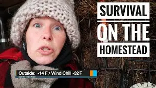 POLAR VORTEX | Homestead Winter Survival