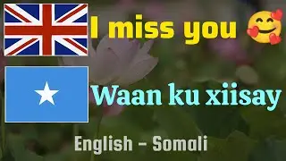 English - Somali phases for everyday conversation p2 | Must know @Luqadda