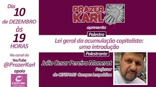 Lei geral da acumulação capitalista: uma introdução