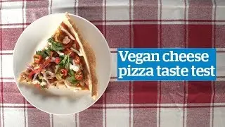 Vegan cheese pizza taste test