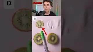 Найди рисунок! 🤯😱