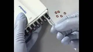 Replacement of O Rings of Pipette