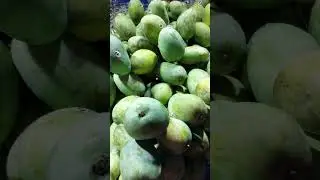 #saharanpurmandi  #mandinews #mandiupdate #trending #mandibhav #saharanpurbazar #mangobhav