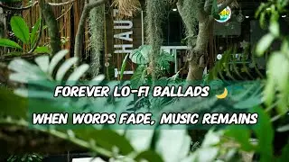 When Words Fade, Music Remains. Stay a while. 🌙 1 Hour Pure Instrumental Lo-Fi