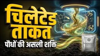 Chelated Technology क्या है? पूरा विज्ञान आसान भाषा में | Chelated Zinc 12% & Iron का सही इस्तेमाल |
