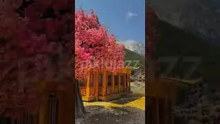 Beautiful Nature Whatsapp Status 🌏🌈 Colorful Mountains Tree Sunflower Scenery 🍀 Nature Status Video
