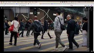 Обзор монеты Hedera Hashgraph (HBAR)