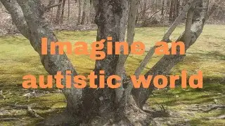 What if there were a world of all autistics?