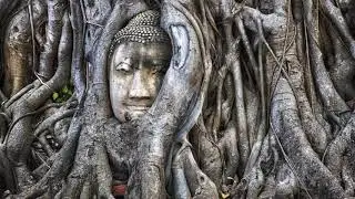 Coming Home to Yourself: A Meditation for Embodiment