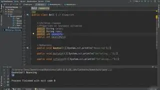 Instance or Member Variables Access Control