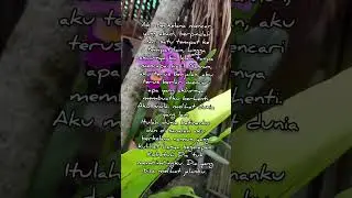 My journey song