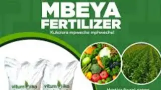 DIY  making Fertilizer women group