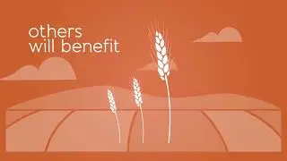 End of pasta / animation image video