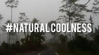 #folkgreen#nature#fog#indonesia                  Keheningan alam