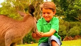 Australia Zoo TVC