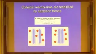 GFS | Prof. Thomas Powers | Shapes of Colloidal Membranes