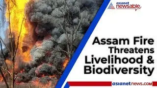 Assam Fire Threatens Livelihood And Biodiversity | Asianet Newsable