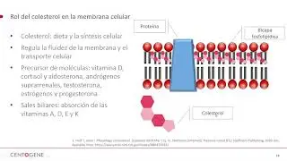 Niemann-Pick tipo C: Dos genes – muchos cuadros clínicos – un biomarcador unificador