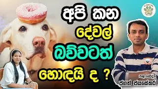 බව්වන්ට තුන පහ - ලුණු, මිරිස් අඩංගු ආහාර දුන්නොත් මොකද වෙන්නේ ?