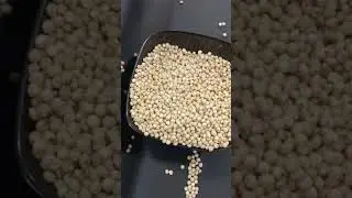 Creamy Sorghum Human Feed  #grain #grainimports #rice #longgrain #food #exportimport #corn #food